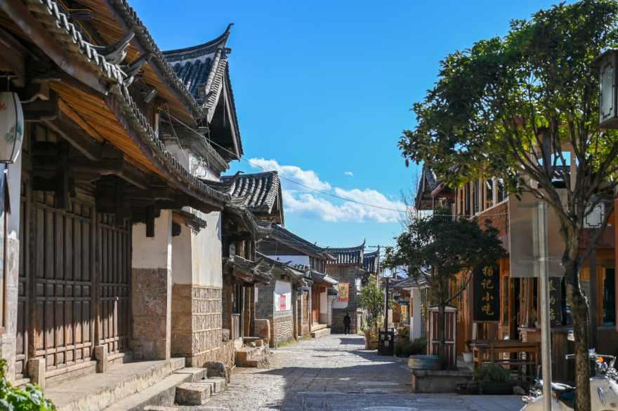 逃离变色龙森林